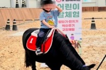 “아이들아, 말 타러 가자!” 경기도 어린이 말 체험 9월 재개...전액 무료!!
