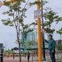 임강유