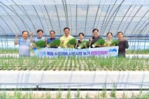 장성군, 신소득작목 ‘쪽파’ 수경재배 성공 가능성 확인