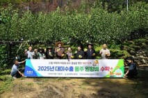 산불·저온 이겨낸 '울주 햇배' 올해 첫 수확