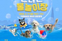 송파구 17일 '하하호호 반려견 물놀이장' 운영