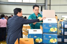 산불‧저온 이겨낸 ‘울주 햇배’ 첫 수확…18일 미 수출