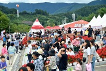 제19회 한우랑사과랑축제 '대박났다'