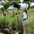 김종렬