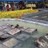 조선일보