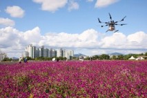 양주 나리농원, ‘천만송이 천일홍’ 물결···‘제7회 천만송이 천일홍 축제’ 개막