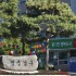 뉴시스
