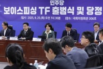 당정 "금융사 보이스피싱 배상책임…사기죄 상향"