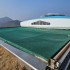 손달희