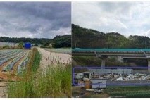 무단점유 도로공사 땅 5년간 총 30만평…불법경작 많아