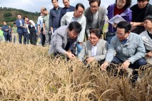 김민석 국무총리, 장흥 ‘벼 깨씨무늬병’ 피해 현장 방문…“농업재해 인정 검토하겠다”