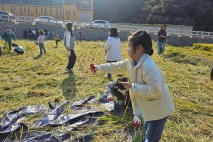 울릉군, 전통 벼농사 복원…아이들과 수확의 기쁨 나눴다