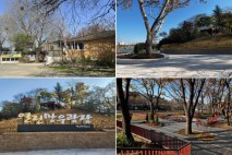 대구 동구, 망우당공원 일대 '불법 건축물 철거' 공원 조성