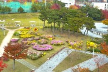 대구 동구, 신서중앙공원 국화 식재로 가을 정취 더해