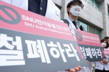 서울대 동물검진센터 앞 '1인 시위'…서울 수의사들 뿔난 까닭