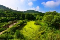 심덕섭 고창군수, 제4회 람사르습지도시 시장단 회의 참석