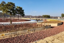 의성군, 겨울 가로수 보호로 3년 연속 고사율 0% 달성