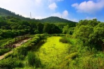 심덕섭 고창군수, 제4회 람사르습지도시 시장단 회의 참석