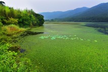 심덕섭 군수, 헝가리 '람사르습지도시 시장단 회의' 참석