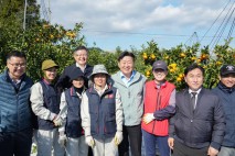 [제주소식]오영훈 지사, 온주밀감 수확 일손 돕기 등