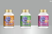 대전시, 반려동물 특별 간식 '꿈돌이 닥터몽몽' 출시한다