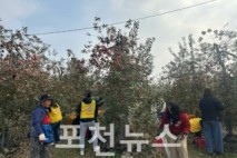 농협중앙회 지역사회공헌부 임직원,포천농협 조합원 사과 농가에서 온정의 일손돕기 실시
