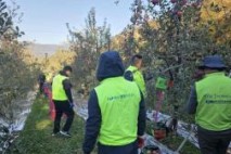 밀양시-밀양시 범농협 합동 ‘가을철 농촌일손돕기’ 추진