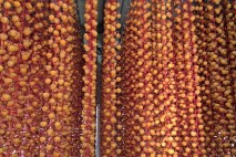 순천시, 청정 자연 건조 ‘순천 꿀곶감’ 생산 본격 시작