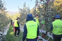 밀양시, 범농협 합동 농촌 일손돕기